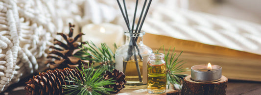 parfums de noel