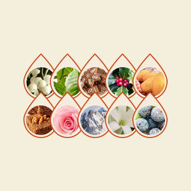 Pack 10 parfums - Terre de Bougies fournitures bougies artisanales