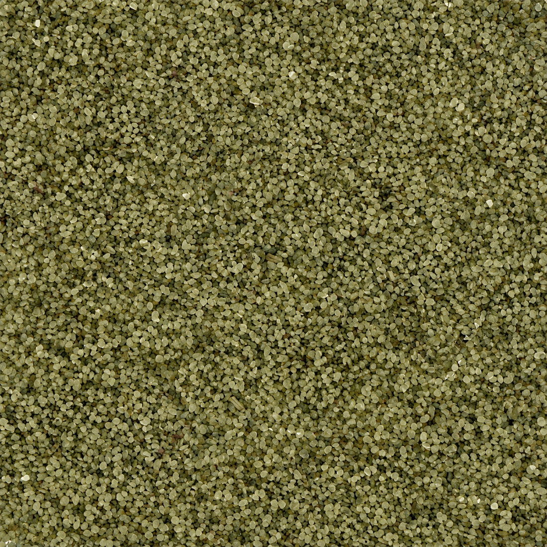 Gros plan sur les granulats de verre recyclé GlassRoxx teinte vert olive