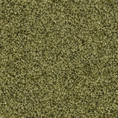 Gros plan sur les granulats de verre recyclé GlassRoxx teinte vert olive