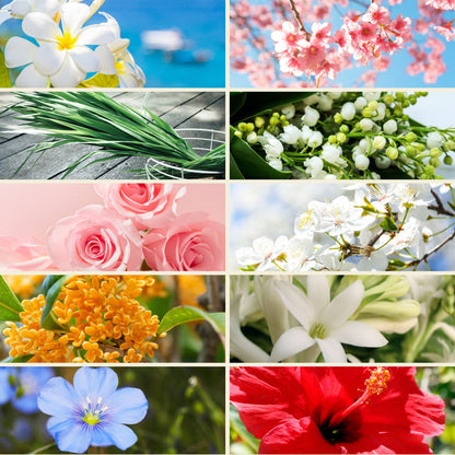Planche d'ambiance du Pack de 10 parfums thématiques de Grasse : muguet, cerisier, rose, tubéreuse, lin et coquelicot