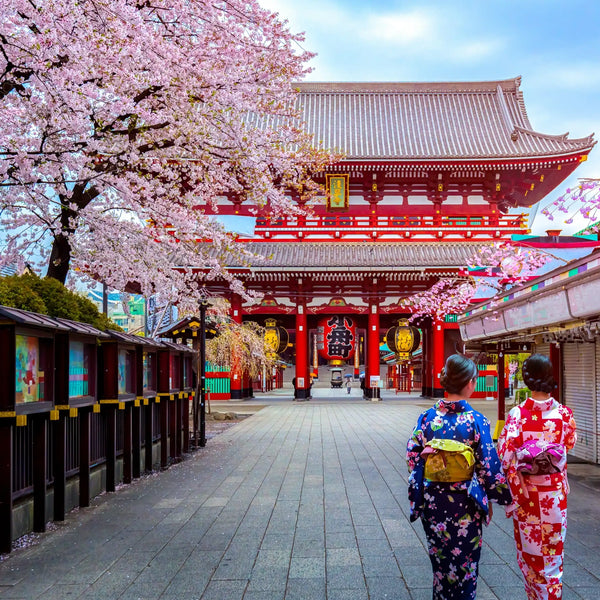 Balade à Tokyo parfum fleuri de Grasse pour bougies fondants et diffuseurs