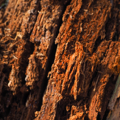 Bois de oud parfum boisé de Grasse pour bougies fondants et diffuseurs