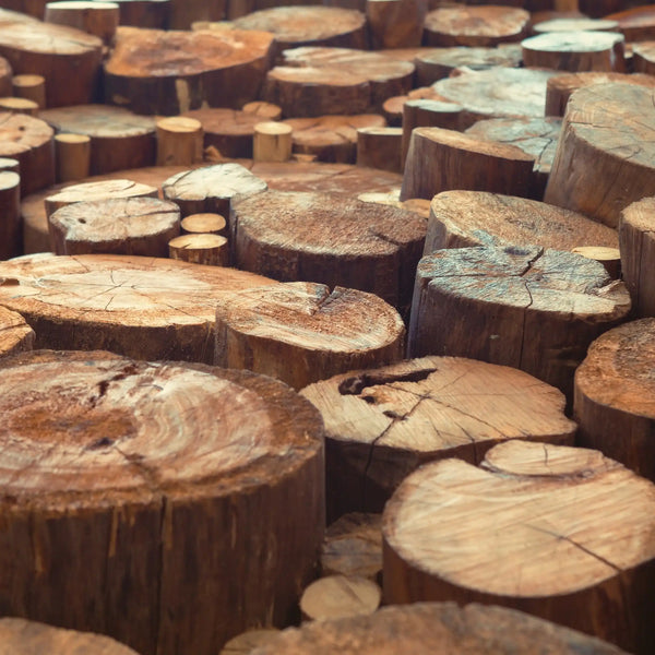 Bois de teck parfum boisé de Grasse pour bougies fondants et diffuseurs