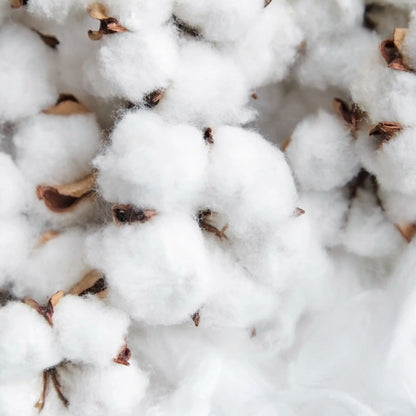 Fleur de coton blumig-Duft aus Grasse für Kerzen Wax Melts Duftdiffusoren