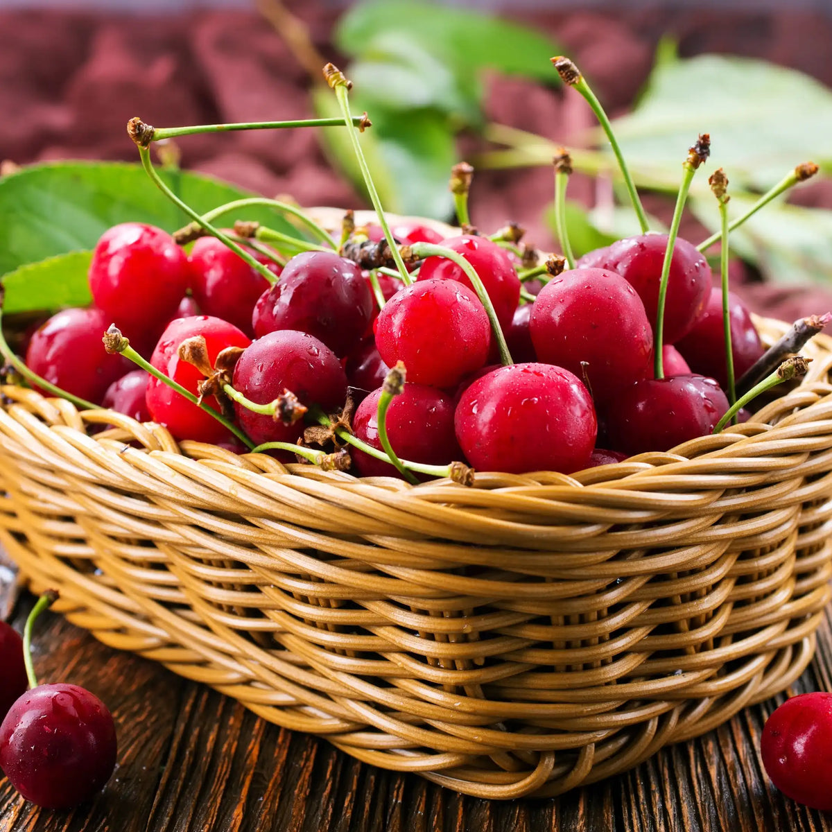 Cerise parfum fruité de Grasse pour bougies fondants et diffuseurs
