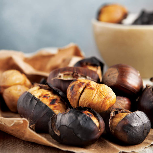 Châtaigne grillée parfum gourmand de Grasse pour bougies fondants et diffuseurs