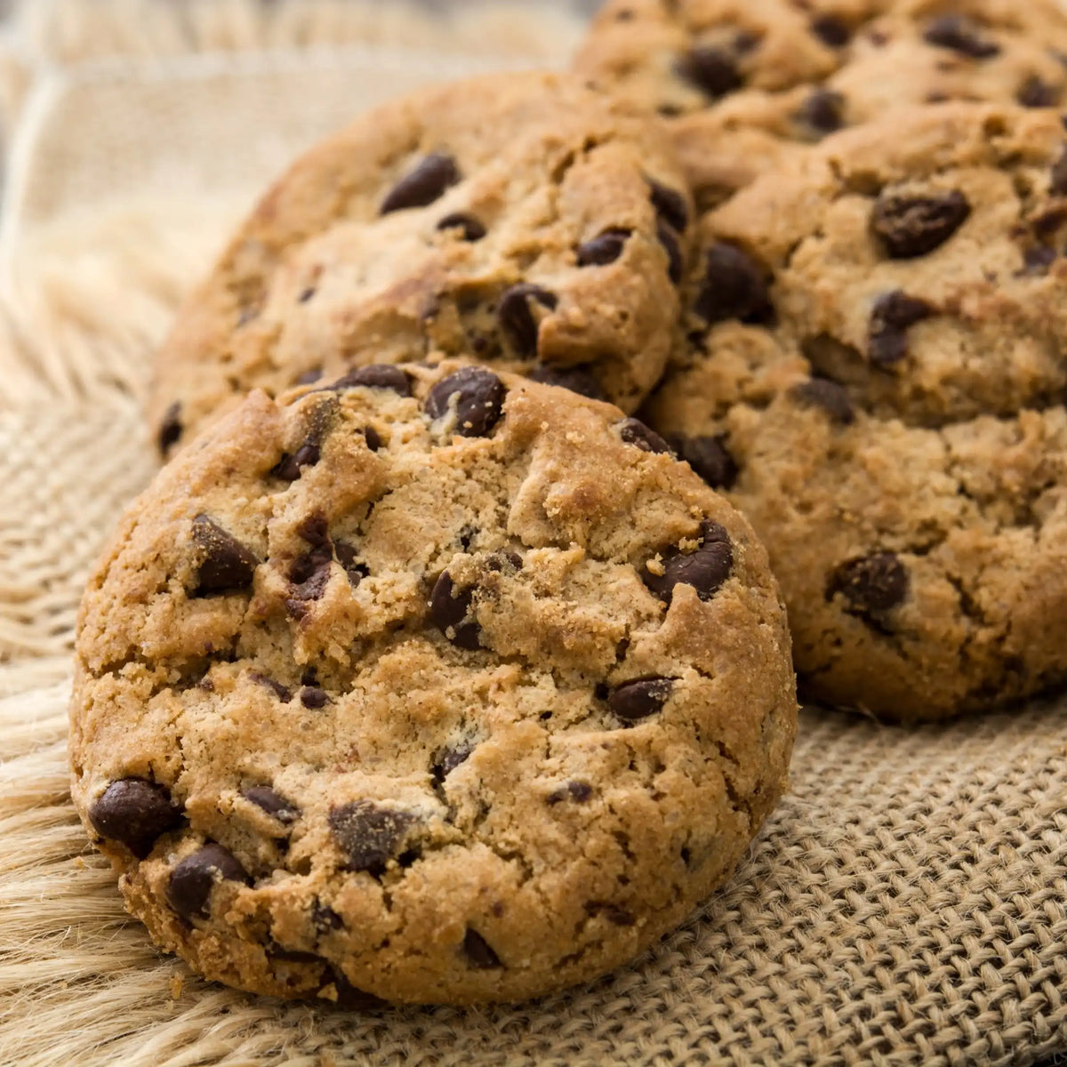 Cookie chocolat parfum gourmand de Grasse pour bougies fondants et diffuseurs