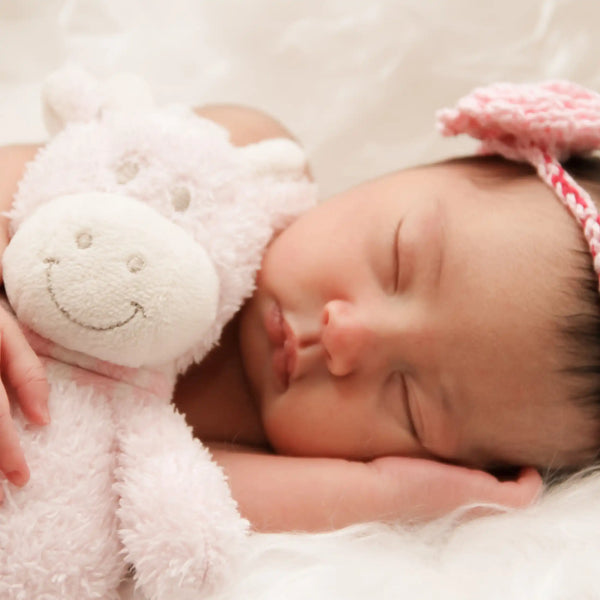 Mon doudou parfum frais de Grasse pour bougies fondants et diffuseurs