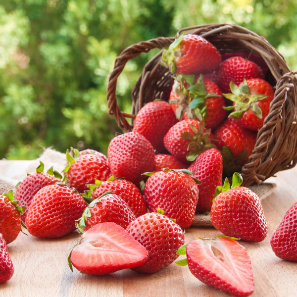Truskawka zapach owocowy z Grasse do świec wosków zapachowych dyfuzorów