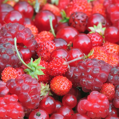 Red fruits fruity fragrance from Grasse for candles wax melts diffusers