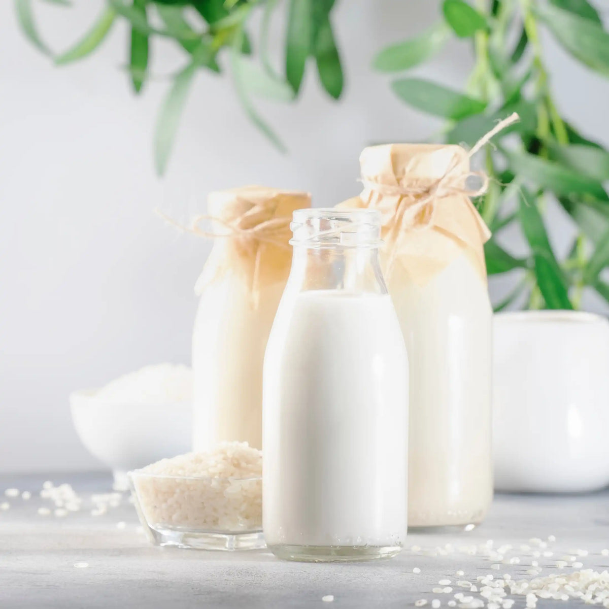 Lait de riz parfum gourmand de Grasse pour bougies fondants et diffuseurs