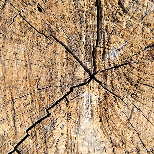 Madera preciosa fragancia amaderado de Grasse para velas fondants y difusores