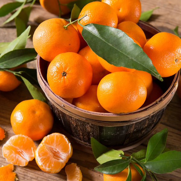 Mandarine parfum fruité de Grasse pour bougies fondants et diffuseurs