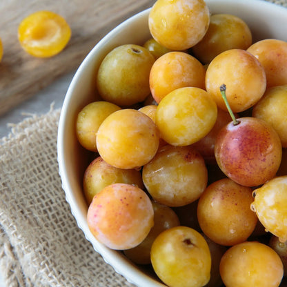 Mirabelle parfum fruité de Grasse pour bougies fondants et diffuseurs