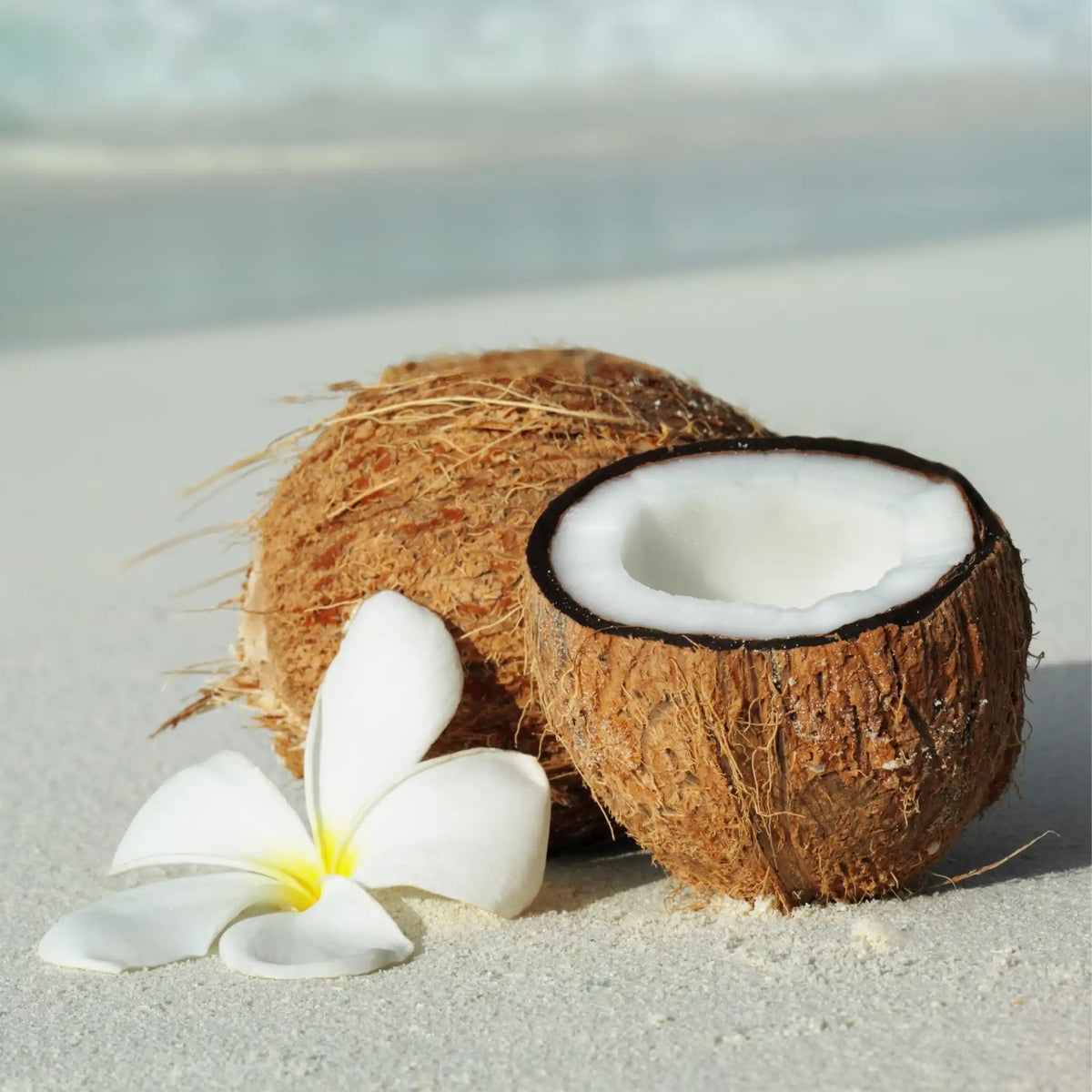 Monoï Cocco profumo floreale di Grasse per candele fondants e diffusori