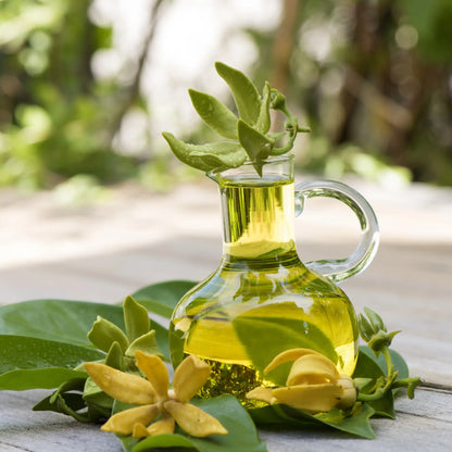 Té ylang adornado fragancia floral de Grasse para velas fondants y difusores