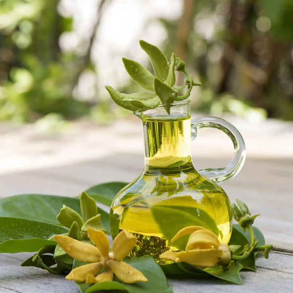 Té ylang adornado fragancia floral de Grasse para velas fondants y difusores