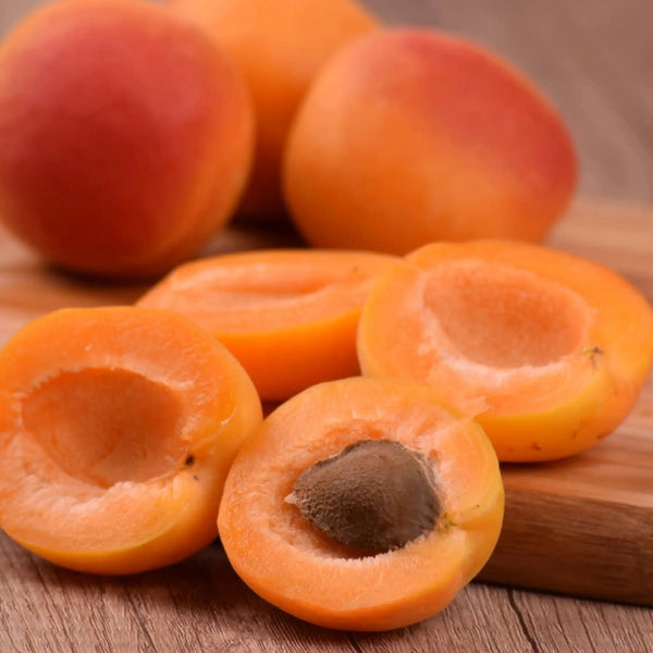Nettare di albicocca profumo fruttato di Grasse per candele fondants e diffusori