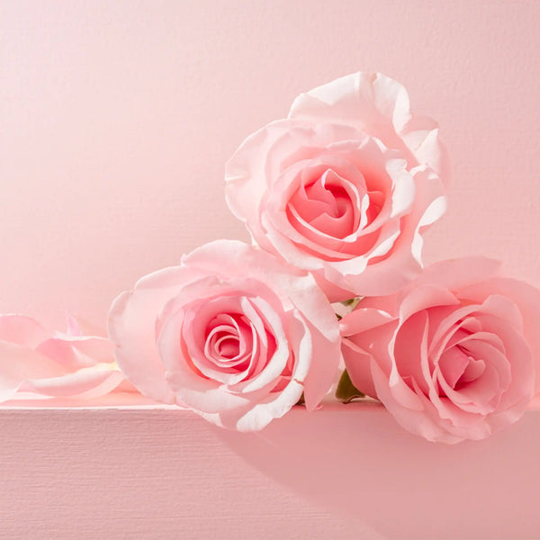 Rose parfum fleuri de Grasse pour bougies fondants et diffuseurs