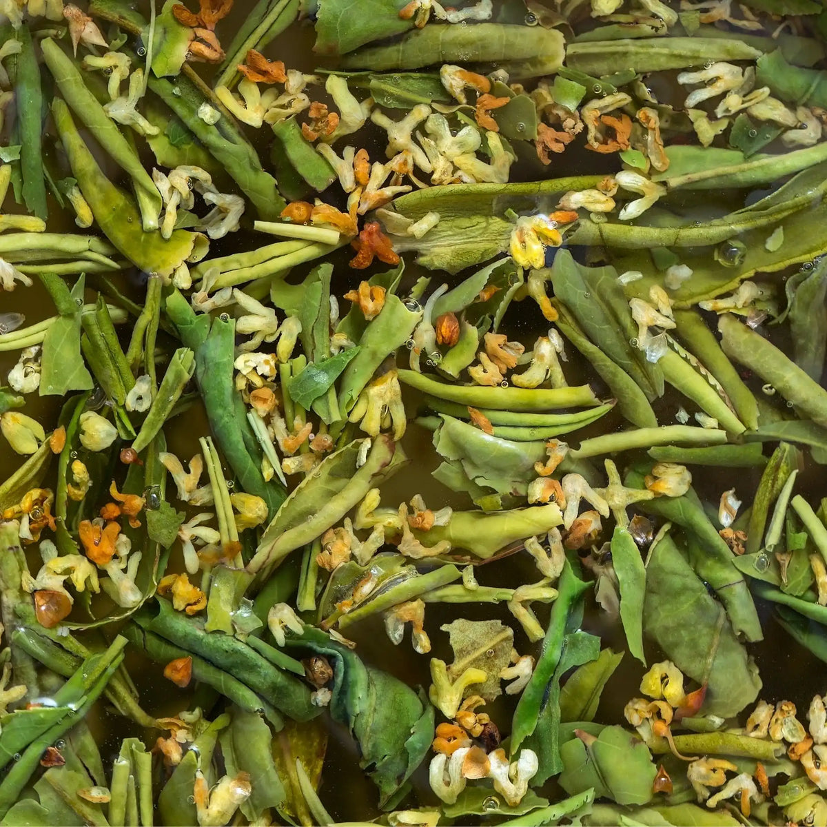 Thé vert et osmanthus parfum frais de Grasse pour bougies fondants et diffuseurs