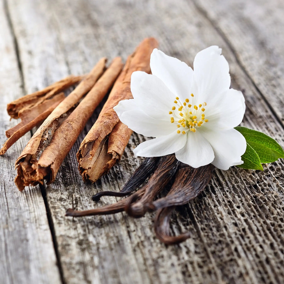 Vanilla Cinnamon gourmand fragrance from Grasse for candles wax melts diffusers