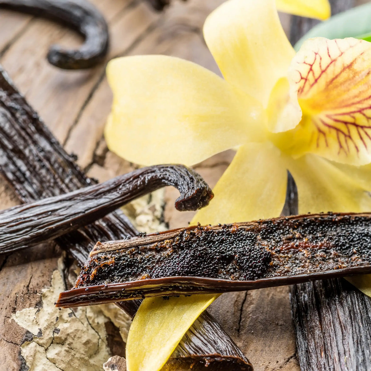 Island Vanilla profumo goloso di Grasse per candele fondants e diffusori