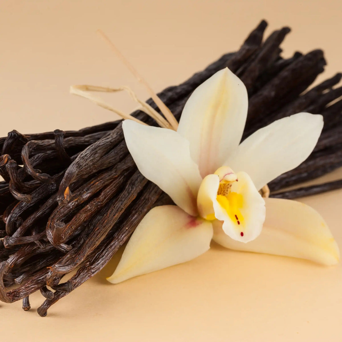 Vaniglia profumo goloso di Grasse per candele fondants e diffusori