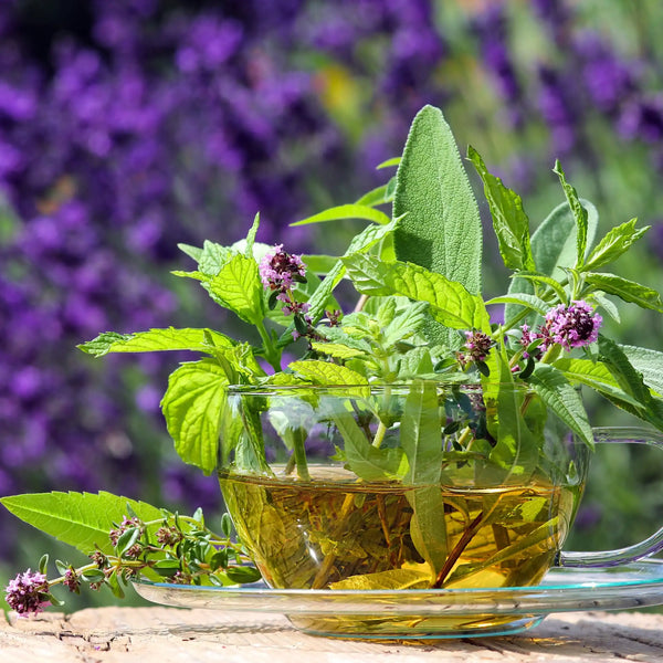 Verveine et menthe poivrée parfum fleuri de Grasse pour bougies fondants et diffuseurs