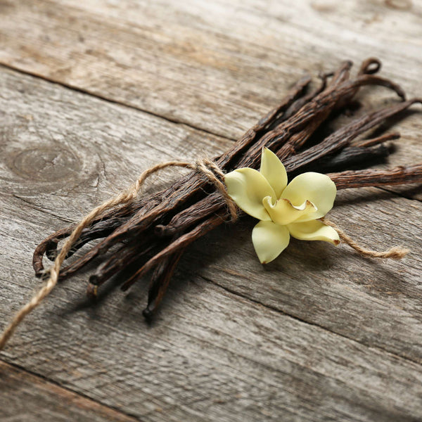 Gousse de vanille parfum ambré de Grasse pour bougies fondants et diffuseurs