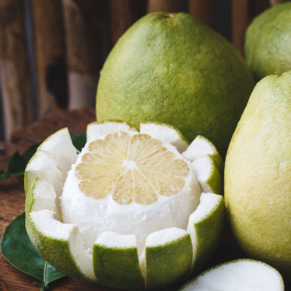 Souffle de pomelo parfum fruité de Grasse pour bougies fondants et diffuseurs