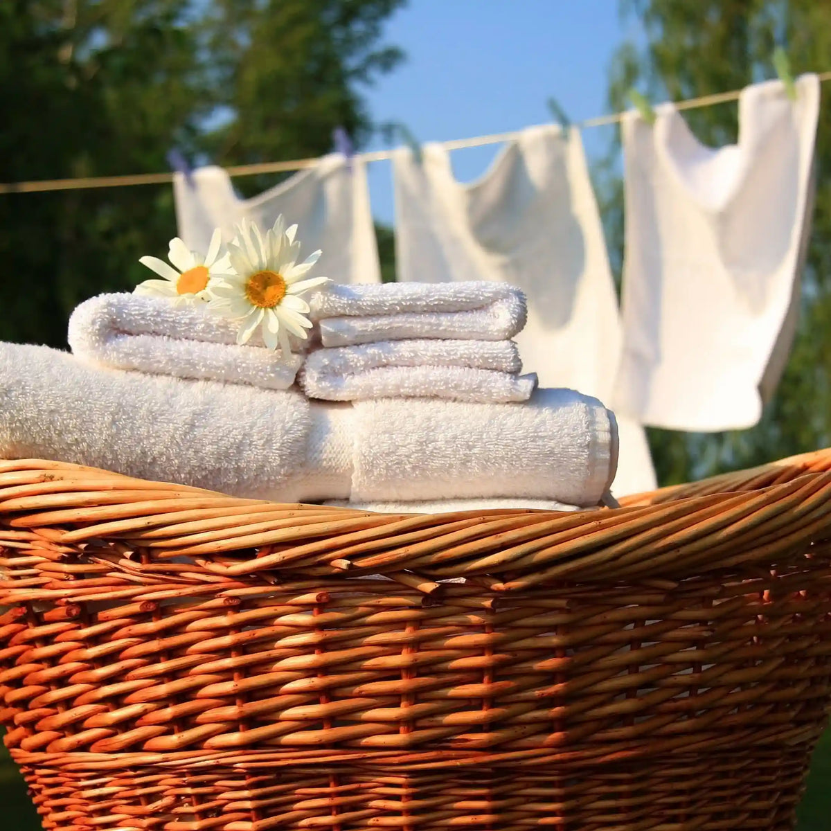 Divine douceur parfum fleuri de Grasse pour bougies fondants et diffuseurs