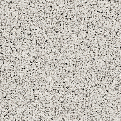 Gros plan sur les granulats de granit naturel StoneRoxx gris clair moucheté