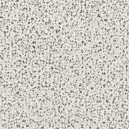 Gros plan sur les granulats de granit naturel StoneRoxx blanc et gris
